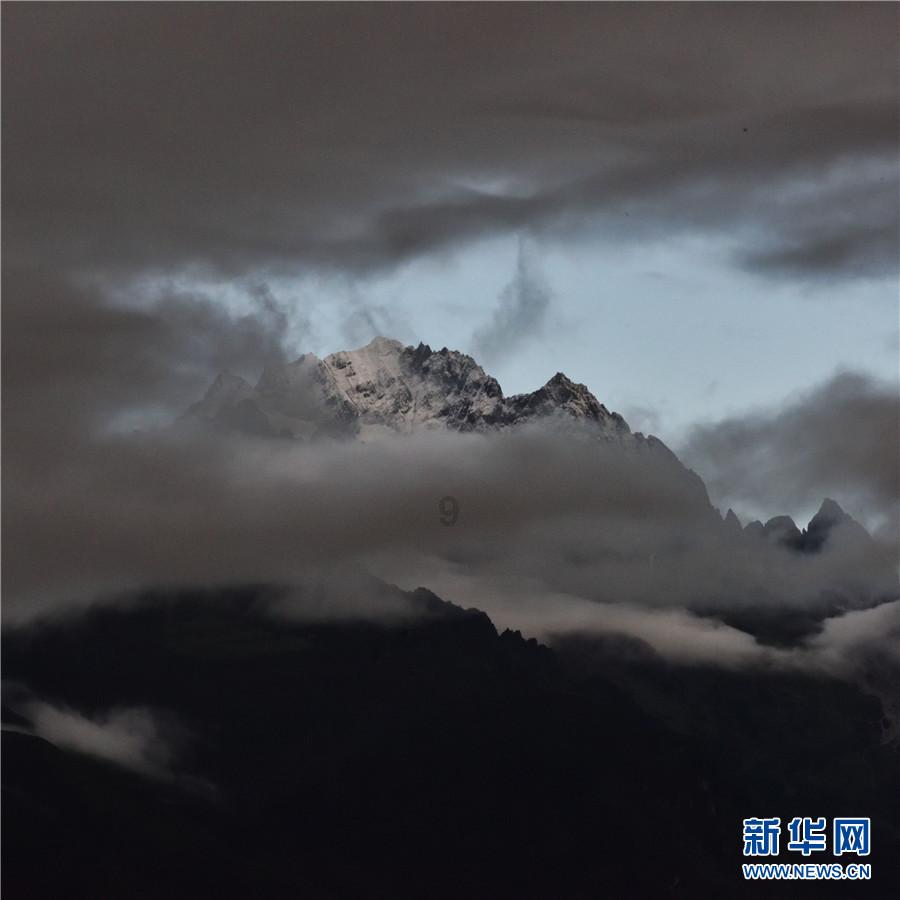 植物大战僵尸：花园战争