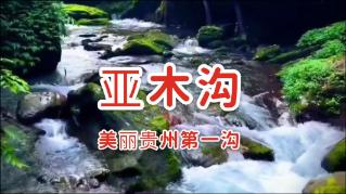 果果大作战