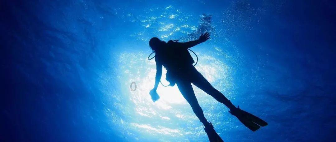 营救森林中的夫妇