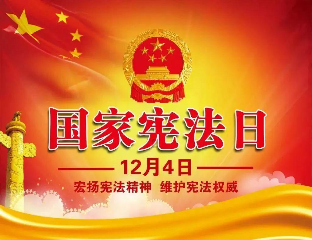 救援大嘴鸟