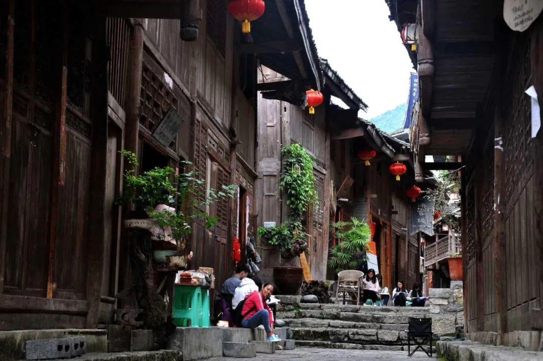救援萌老虎